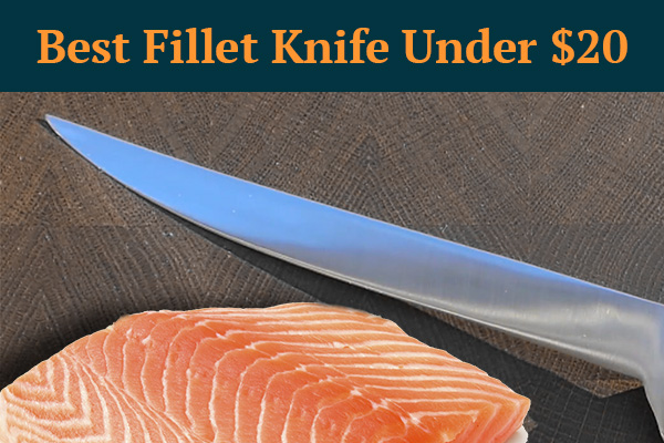 best fillet knife under $20